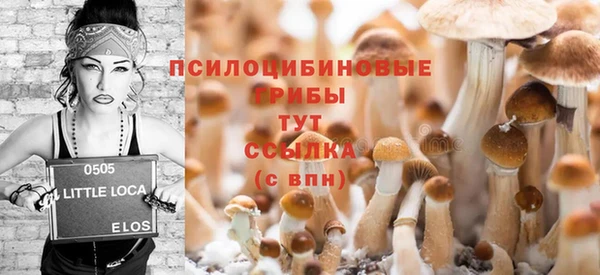 ПСИЛОЦИБИНОВЫЕ ГРИБЫ Алзамай