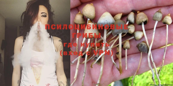 прущие грибы Алексин