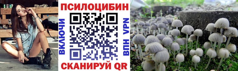 Псилоцибиновые грибы мухоморы  купить закладку  Карабулак 